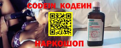 индика Можга