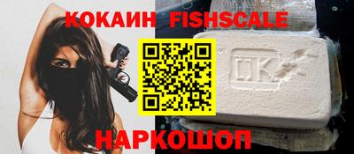 индика Можга
