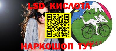 индика Можга