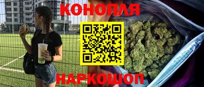 индика Можга