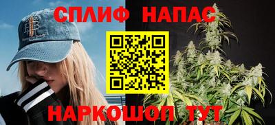 индика Можга