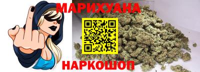 индика Можга