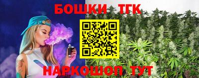 индика Можга