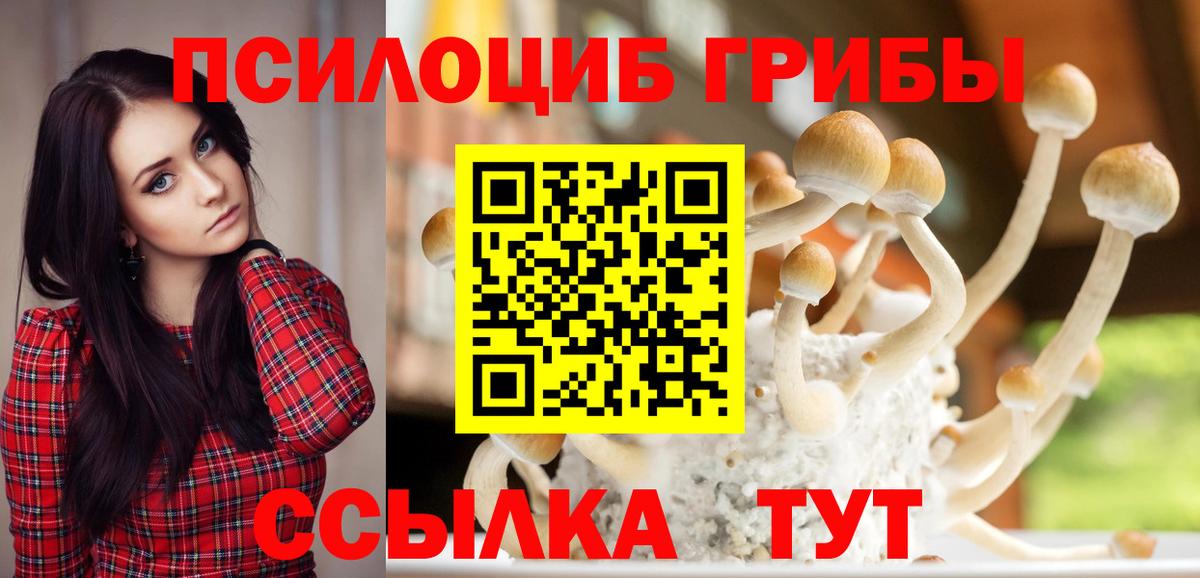 Галлюциногенные грибы Psilocybine cubensis  Вход с VPN  Чернушка 